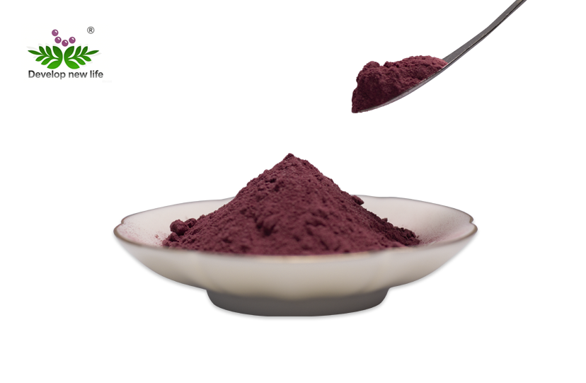 Rose Hip Extract Powder